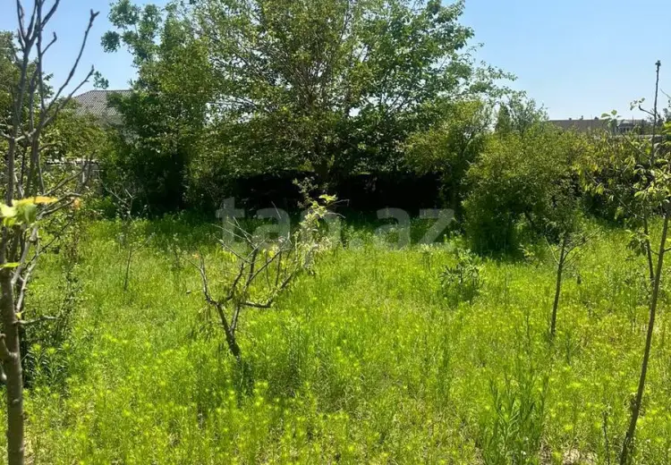 2.5 sot Torpaq Satılır, Bakı