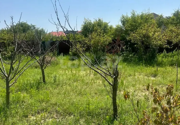 2.5 sot Torpaq Satılır, Bakı