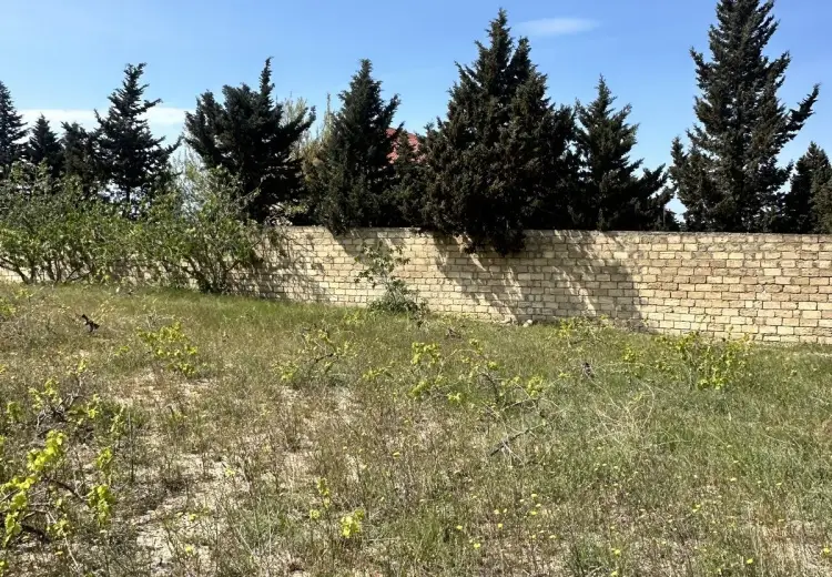 3 sot Torpaq Satılır, Novxanı, Abşeron