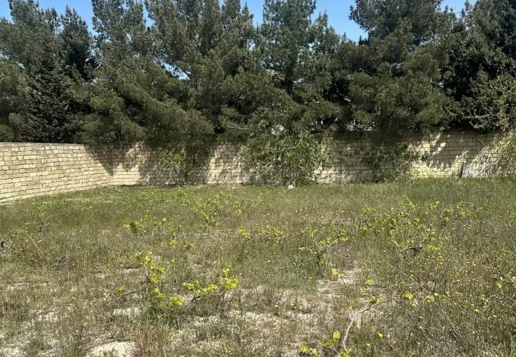 3 sot Torpaq Satılır, Novxanı, Abşeron