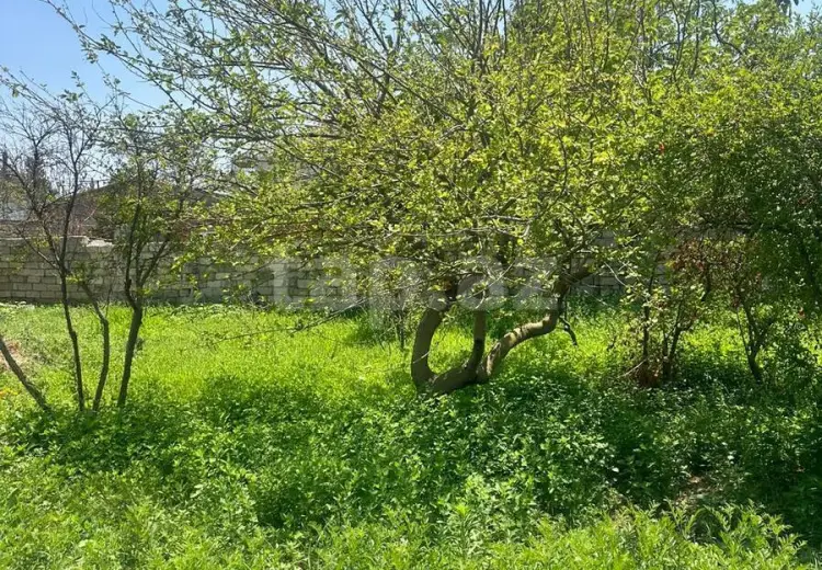 3 sot Torpaq Satılır, Bakı