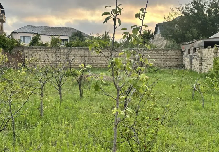 4 sot Torpaq Satılır, Bakı