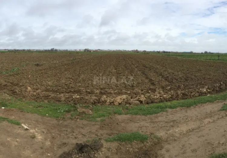 200 sot Torpaq Satılır, Məştağa qəs., Sabunçu, Bakı