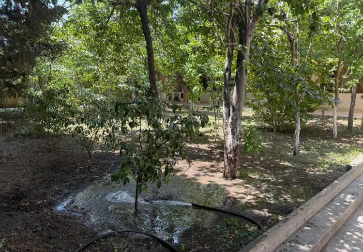 7 otaqlı mənzil Kirayə (aylıq), 7-ci mikrorayon, Binəqədi, Bakı
