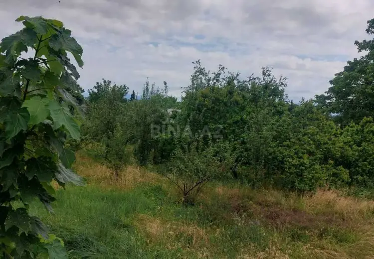 52 sot Torpaq Satılır, İsmayıllı