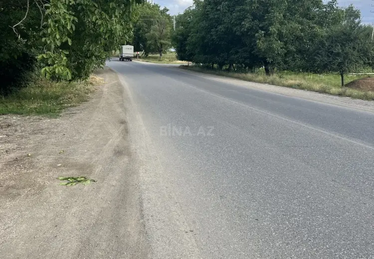 70 sot Torpaq Satılır, Quba