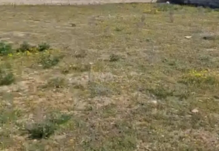 8 sot Torpaq Satılır, Sabunçu, Bakı