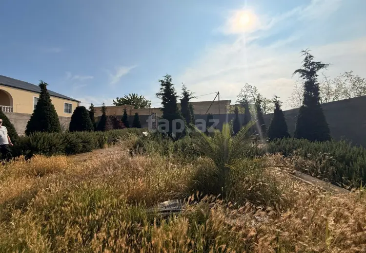 12 sot Torpaq Satılır, Mərdəkan, Xəzər, Bakı