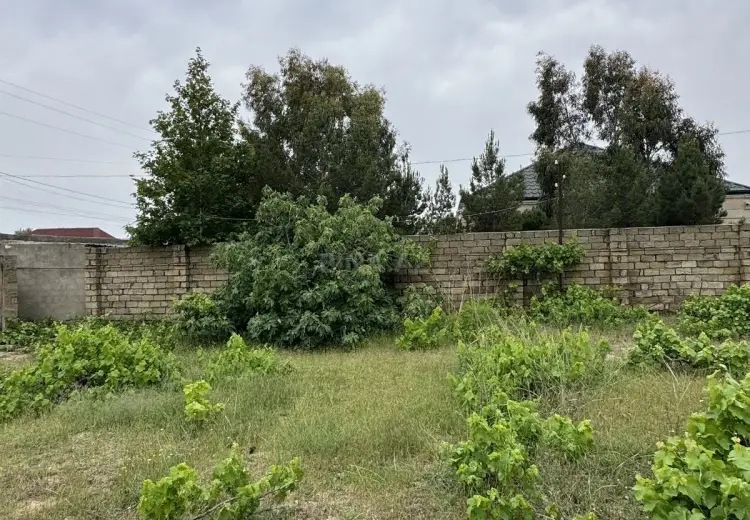 3 sot Torpaq Satılır, Goradil, Abşeron