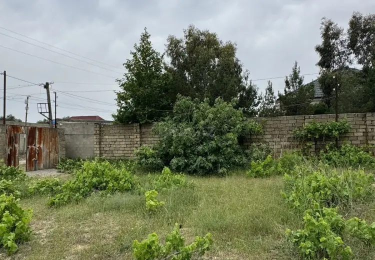 3 sot Torpaq Satılır, Goradil, Abşeron