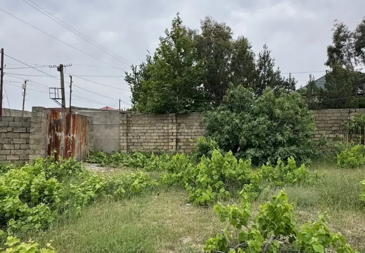 3 sot Torpaq Satılır, Goradil, Abşeron