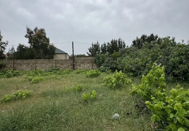 2.5 sot Torpaq Satılır, Goradil, Abşeron