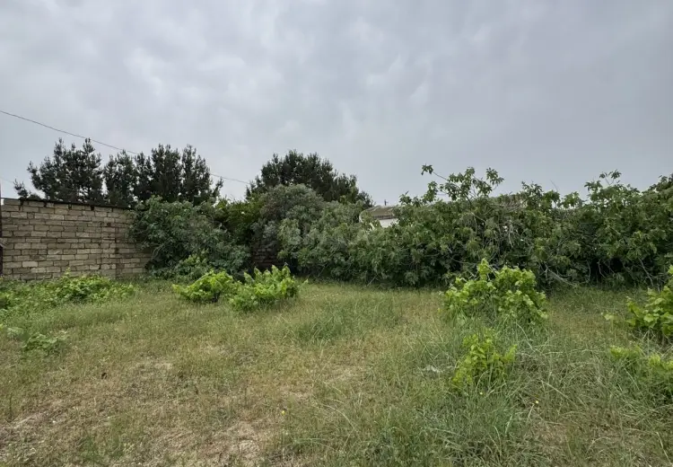 2.5 sot Torpaq Satılır, Goradil, Abşeron