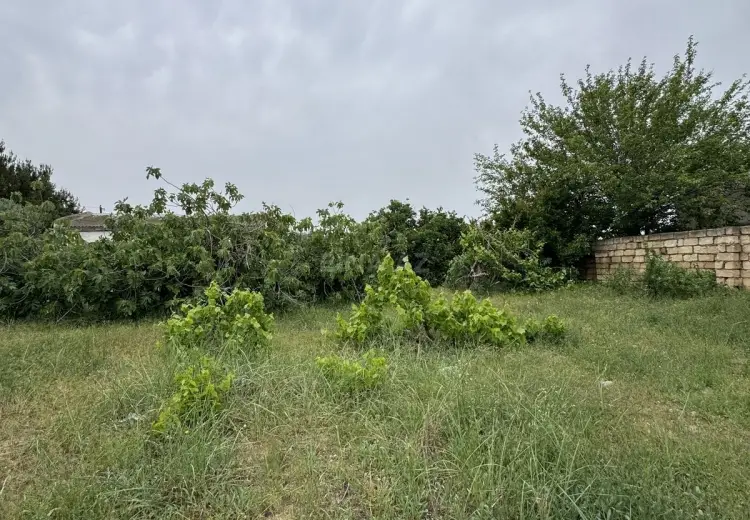 2.5 sot Torpaq Satılır, Goradil, Abşeron