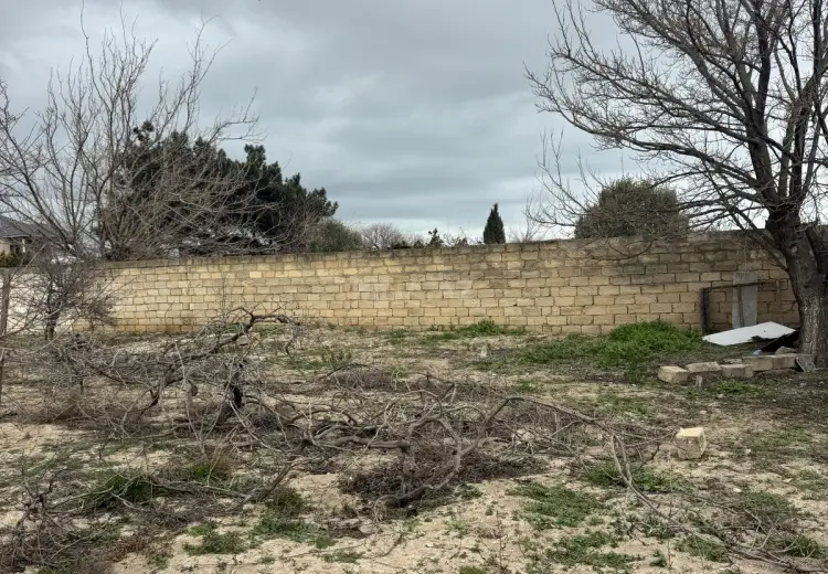 2 sot Torpaq Satılır, Novxanı, Abşeron