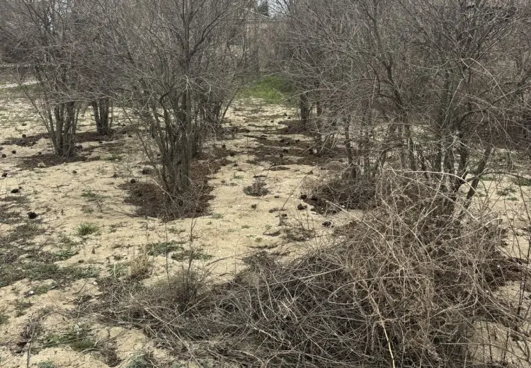 2 sot Torpaq Satılır, Novxanı, Abşeron