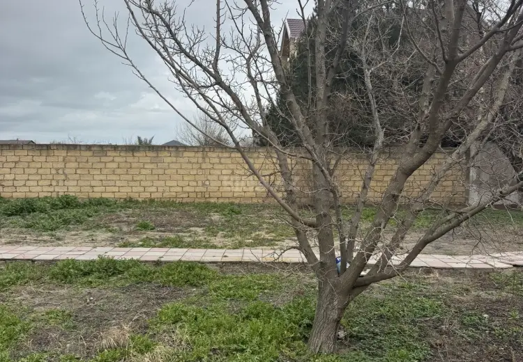 3 sot Torpaq Satılır, Novxanı, Abşeron