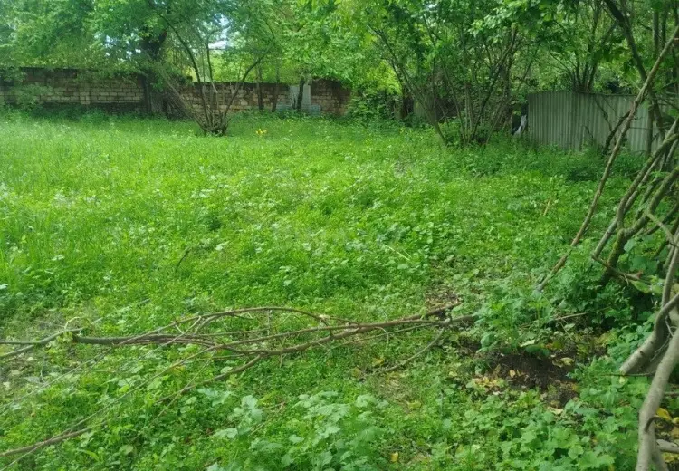 10 sot Torpaq Satılır, Qəbələ
