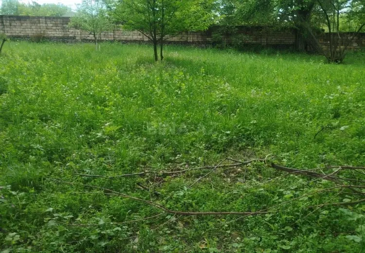 10 sot Torpaq Satılır, Qəbələ