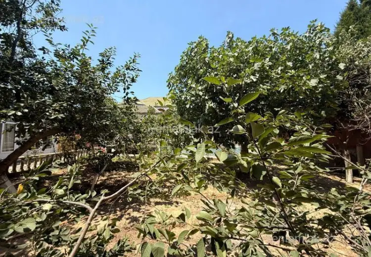 3.55 sot Torpaq Satılır, Mərdəkan, Xəzər, Bakı