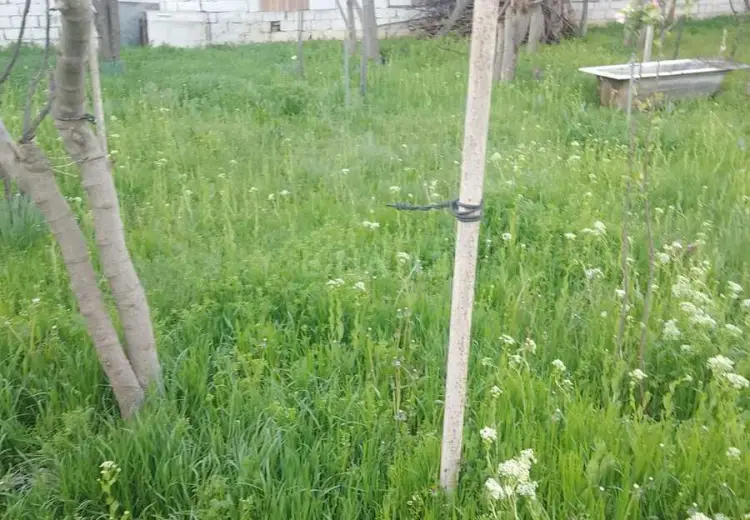 10 sot Torpaq Satılır, Xırdalan