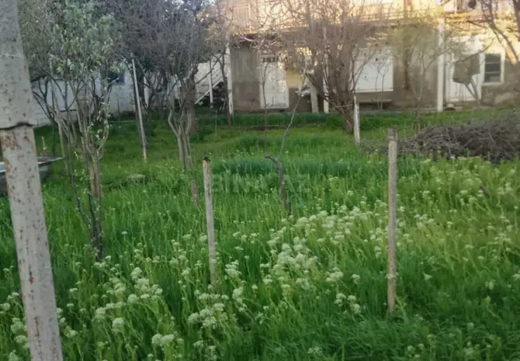 10 sot Torpaq Satılır, Xırdalan