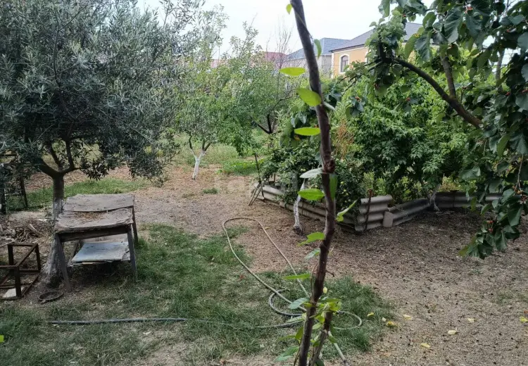 7 sot Torpaq Satılır, Dədə Qorqud qəs., Suraxanı, Bakı