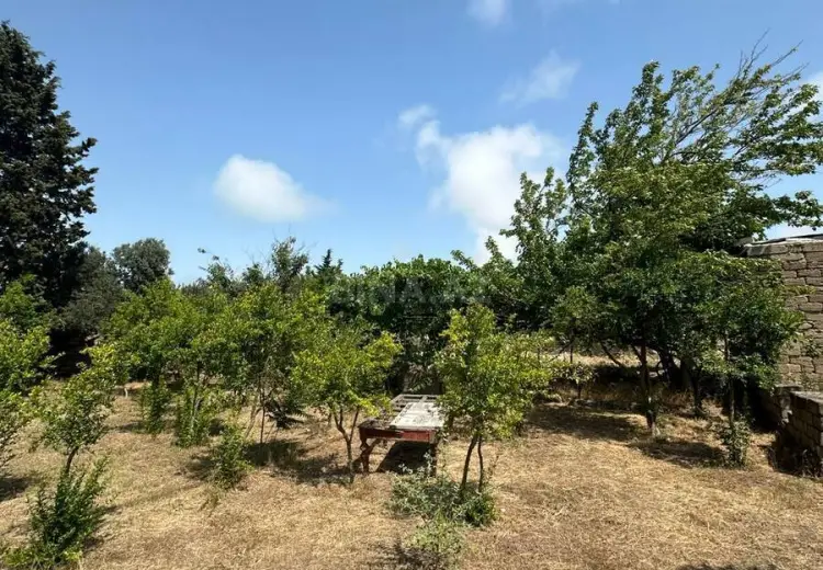 12 sot Torpaq Satılır, Pirallahı, Bakı