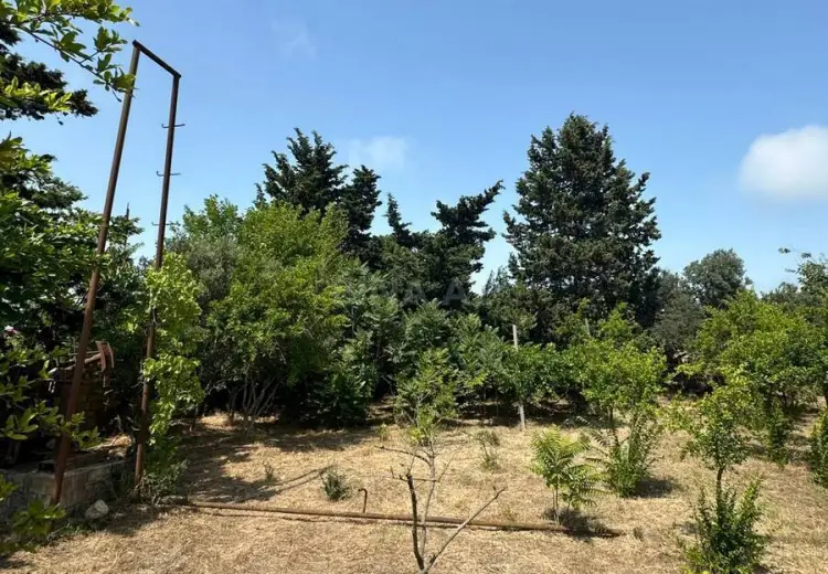 12 sot Torpaq Satılır, Pirallahı, Bakı