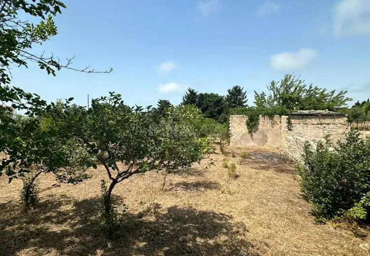 12 sot Torpaq Satılır, Pirallahı, Bakı