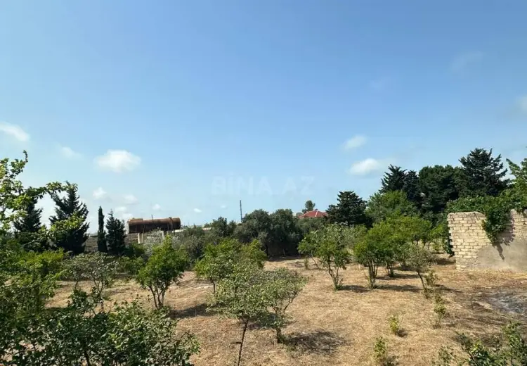12 sot Torpaq Satılır, Pirallahı, Bakı