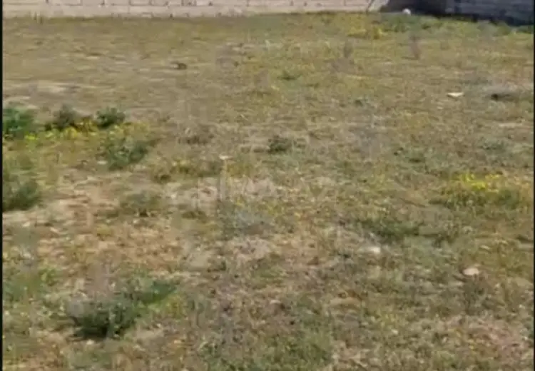 8 sot Torpaq Satılır, Sabunçu, Bakı