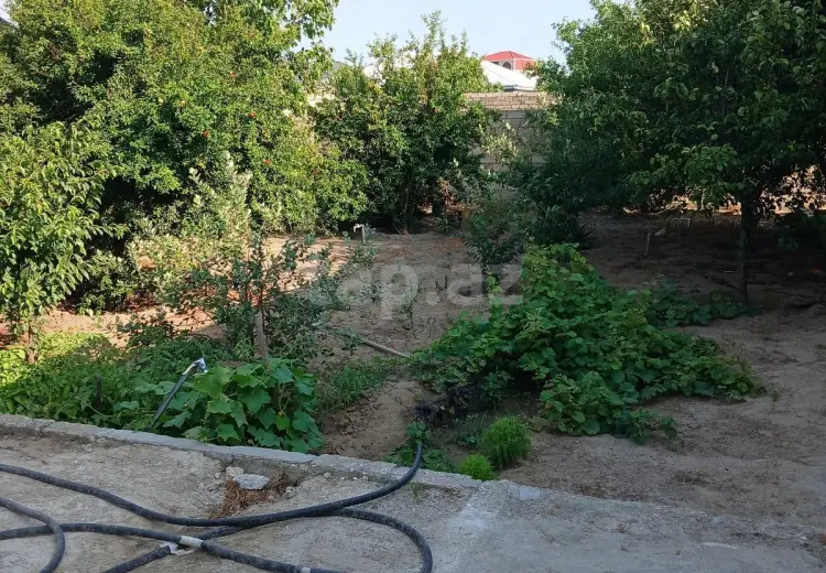 2.5 sot Torpaq Satılır, Buzovna, Xəzər, Bakı