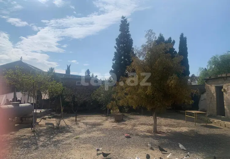 15 sot Torpaq Satılır, Bakı