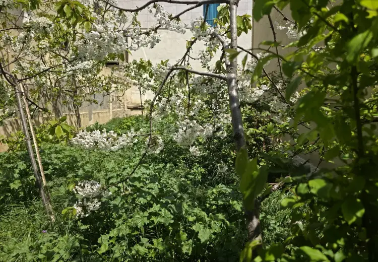6 otaqlı mənzil Satılır, Badamdar qəs., Səbail, Bakı