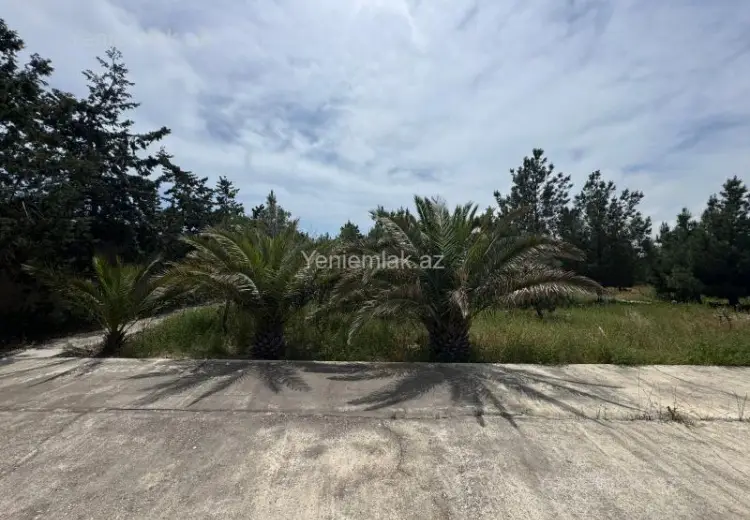 30 sot Torpaq Satılır, Şüvəlan, Xəzər, Bakı