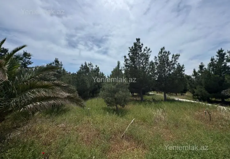 30 sot Torpaq Satılır, Şüvəlan, Xəzər, Bakı