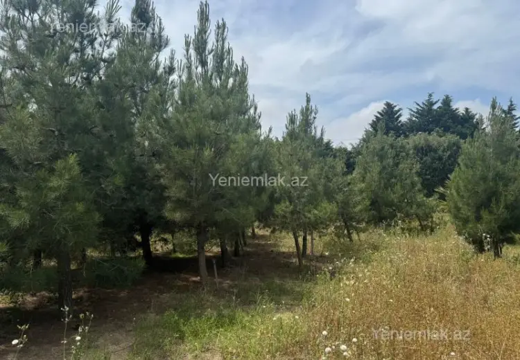 30 sot Torpaq Satılır, Şüvəlan, Xəzər, Bakı