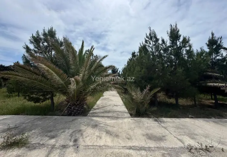 30 sot Torpaq Satılır, Şüvəlan, Xəzər, Bakı