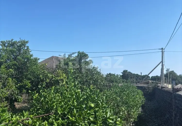 6 sot Torpaq Satılır, Astara