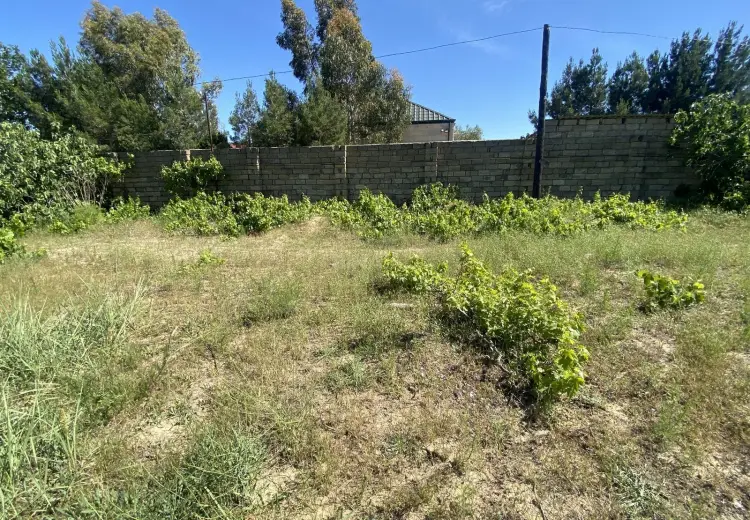 2 sot Torpaq Satılır, Goradil, Abşeron