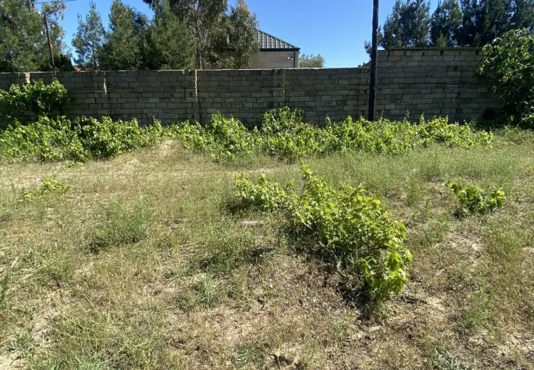 2 sot Torpaq Satılır, Goradil, Abşeron