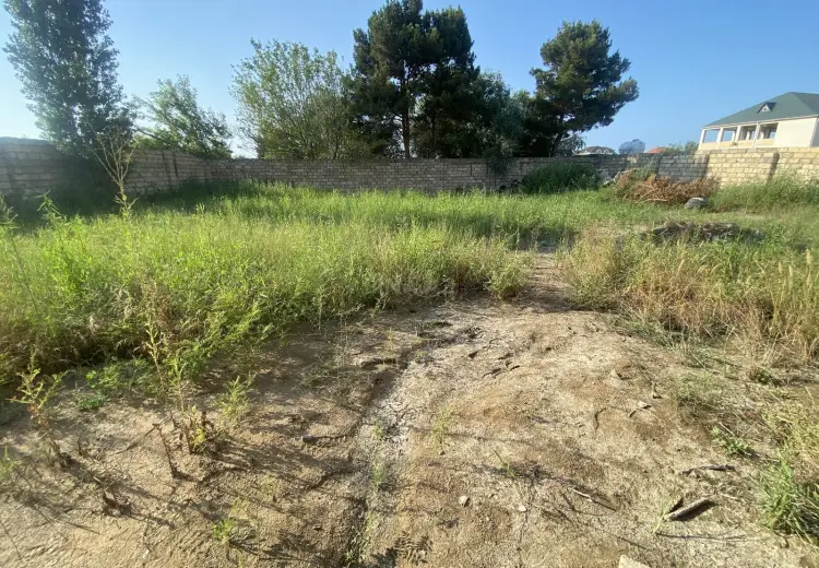 6 sot Torpaq Satılır, Novxanı, Abşeron