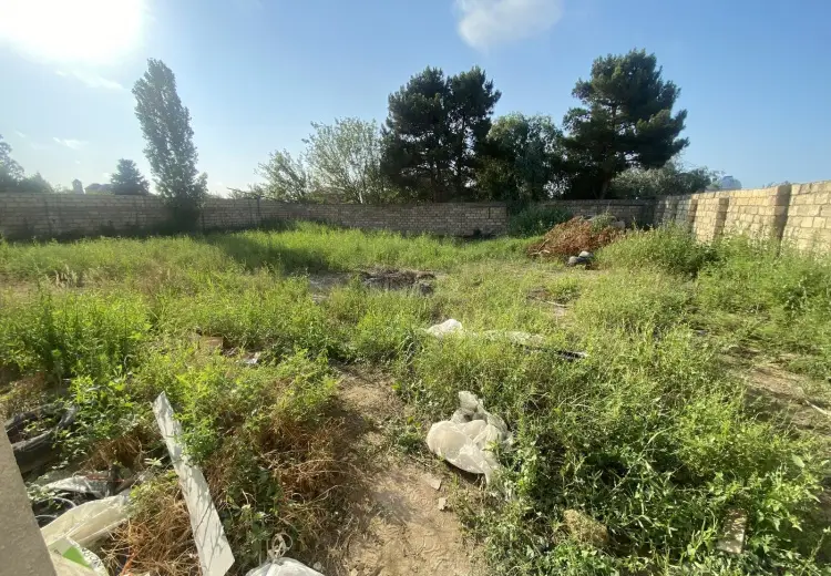 6 sot Torpaq Satılır, Novxanı, Abşeron