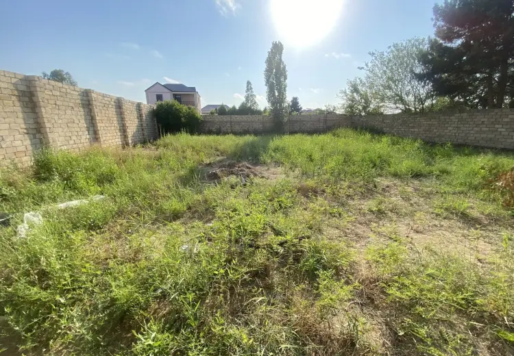 6 sot Torpaq Satılır, Novxanı, Abşeron