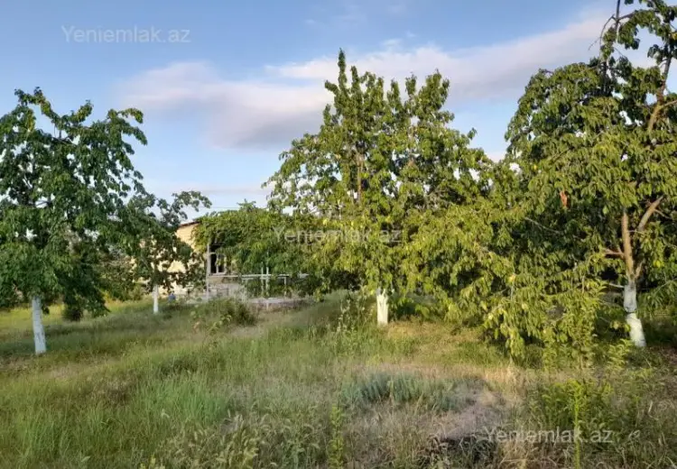 12 sot Torpaq Satılır, Qusar