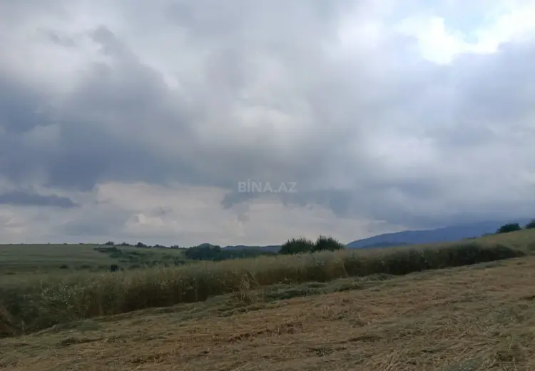 144 sot Torpaq Satılır, Şamaxı