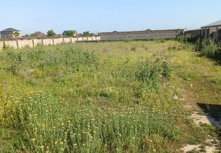 130 sot Torpaq Satılır, Binə qəs., Xəzər, Bakı