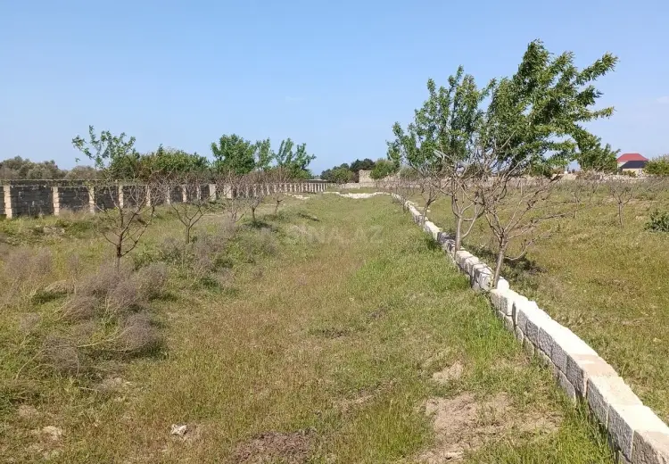 130 sot Torpaq Satılır, Binə qəs., Xəzər, Bakı