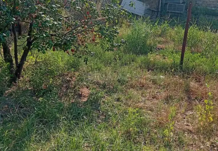 6 sot Torpaq Satılır, Pirşağı qəs., Sabunçu, Bakı